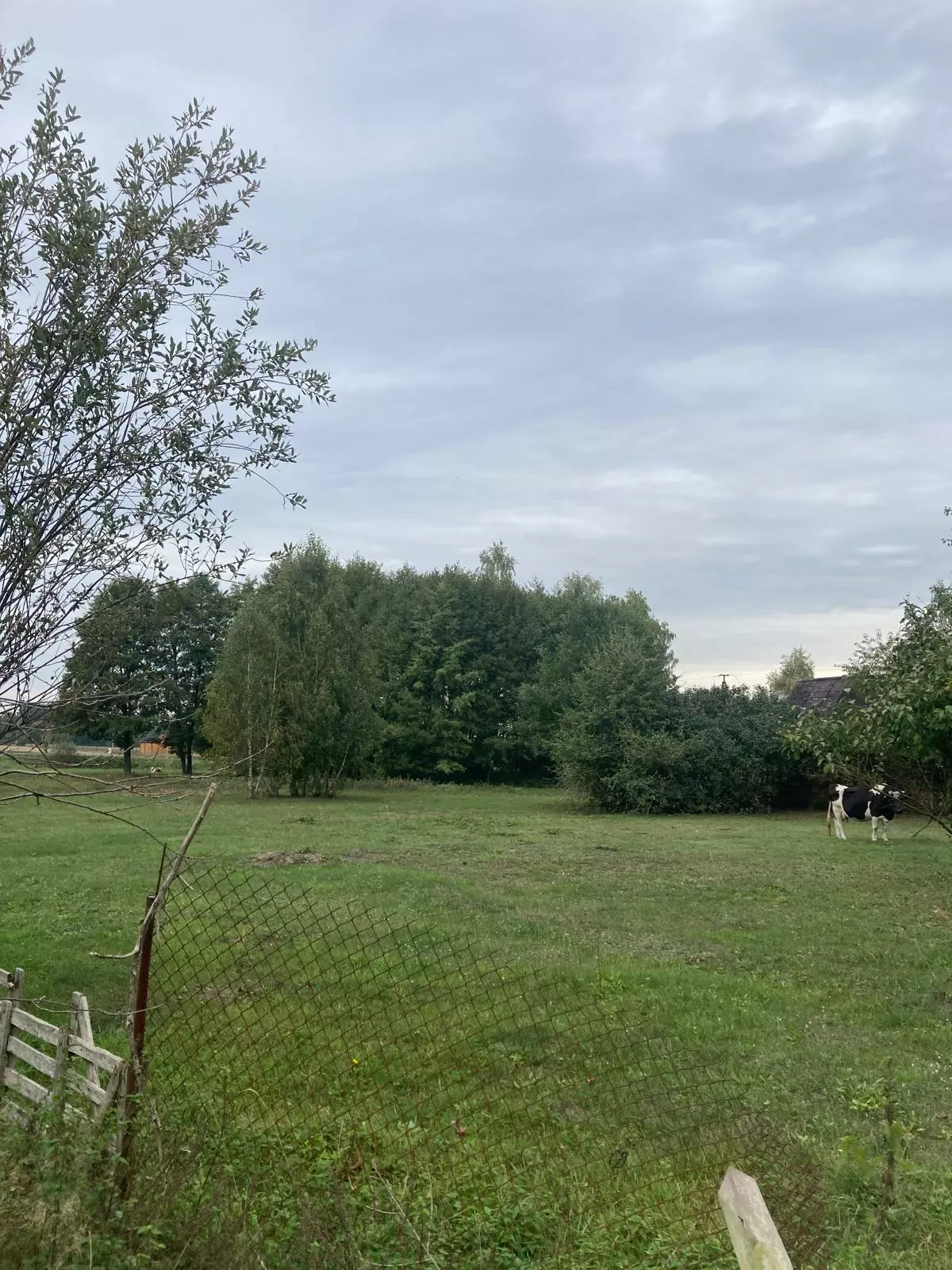 House Of 150 M² With Potential In Gorzewo, Near Płock