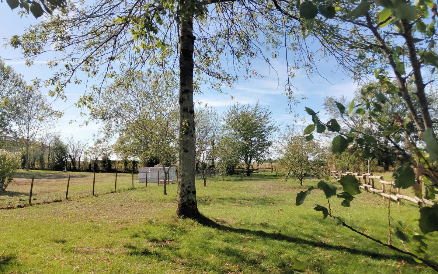 Apartment Of 180 M² With 4 Bedrooms And Barns In Charente
