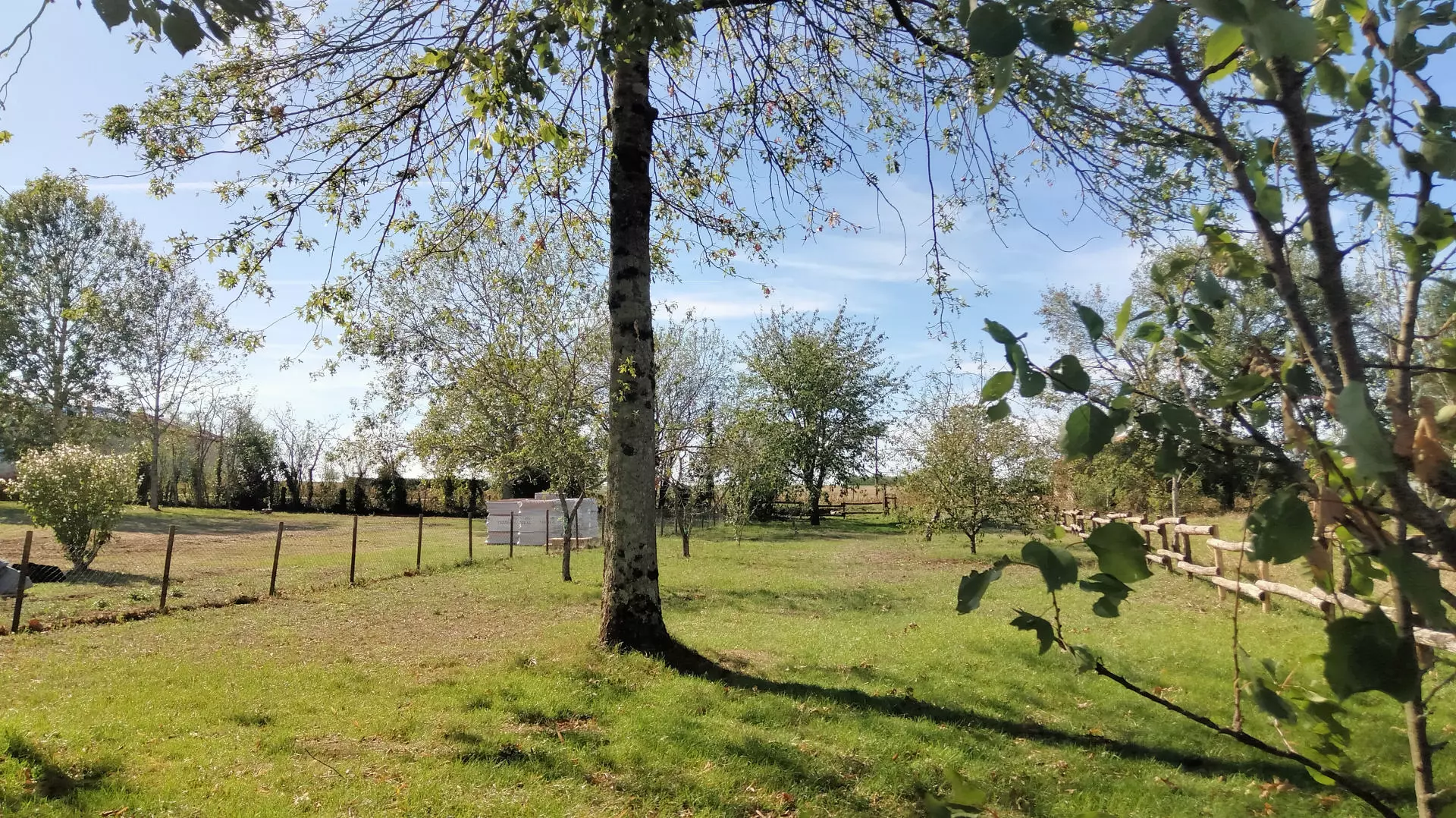Apartment Of 180 M² With 4 Bedrooms And Barns In Charente