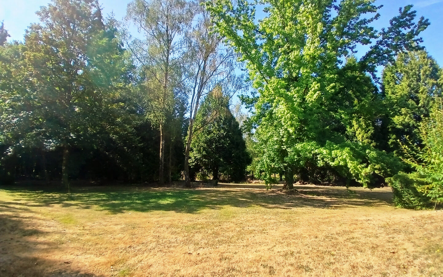 5-bedroom House In La Coquille, France (195 M²)