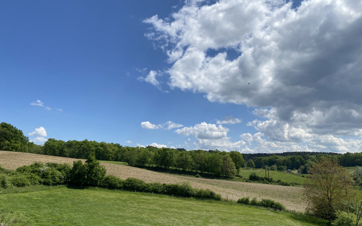7-bedroom Country House In Saint-romain, France (300 M²)