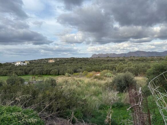 Land In Akrotiri, Greece