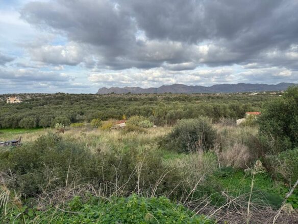Land In Akrotiri, Greece