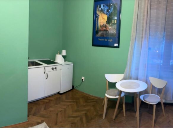 Turnkey Property Development: Central Hybrid Property/duplex (2 Independent Units) – Dealului Street, Sibiu