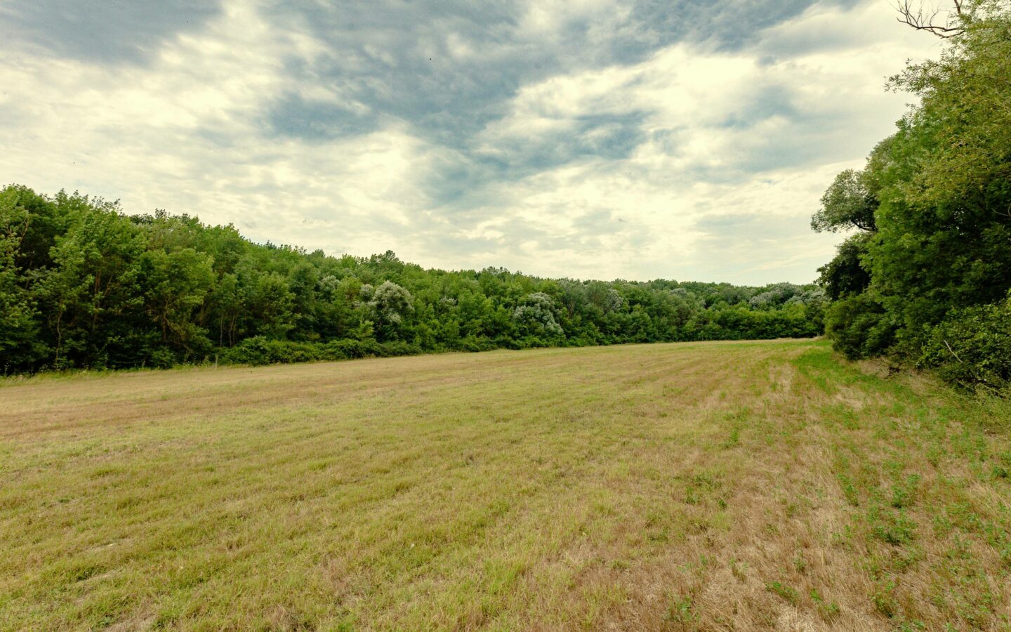 Plot Of 6000 M² With Building Permit For Three Single-family Houses In Kamchiya River, Varna Region
