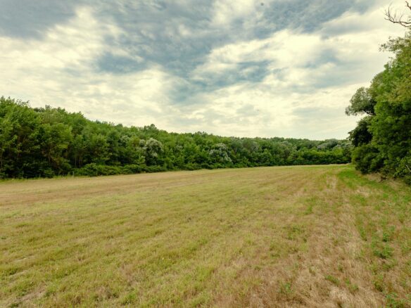 Plot Of 6000 M² With Building Permit For Three Single-family Houses In Kamchiya River, Varna Region