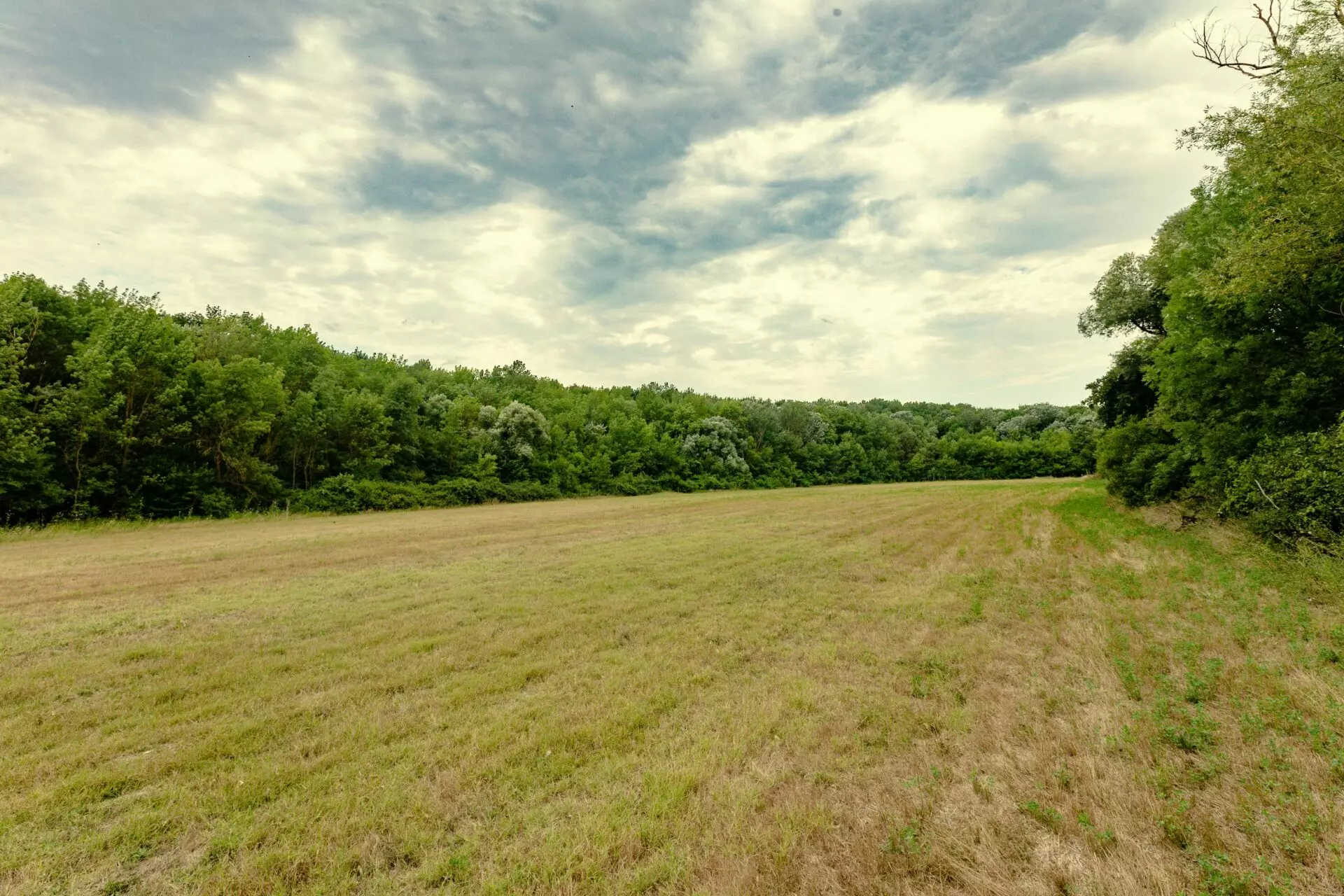 Plot Of 6000 M² With Building Permit For Three Single-family Houses In Kamchiya River, Varna Region