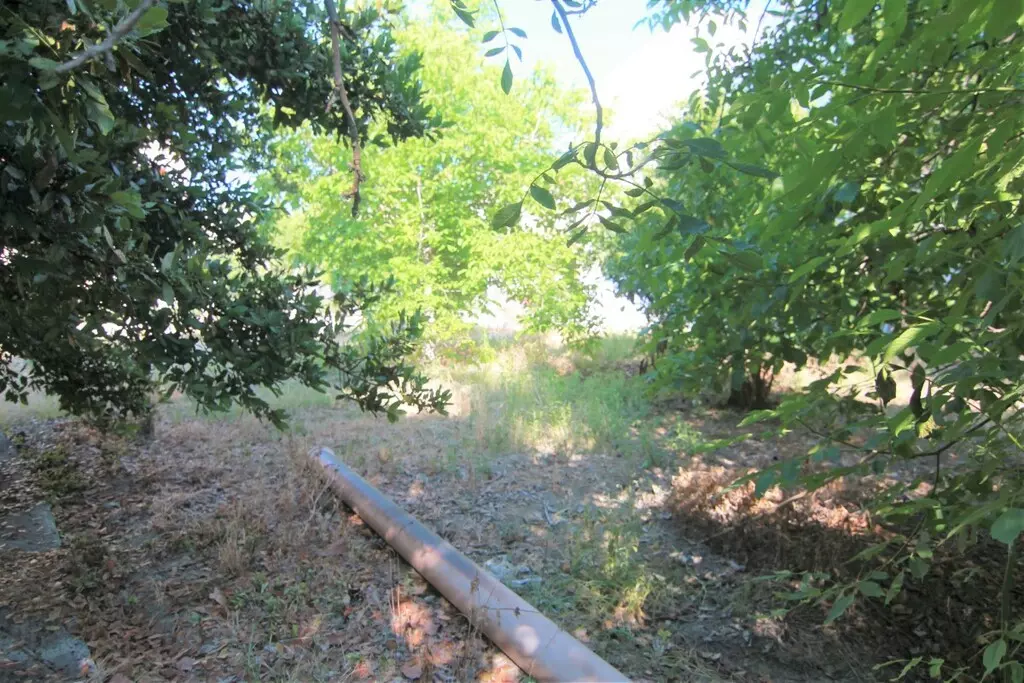 For Sale Land 1342 M² In Corfu
