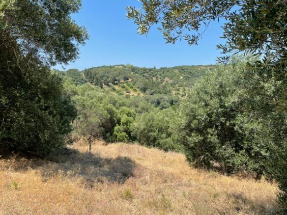 For Sale Land 5200 M² In Corfu