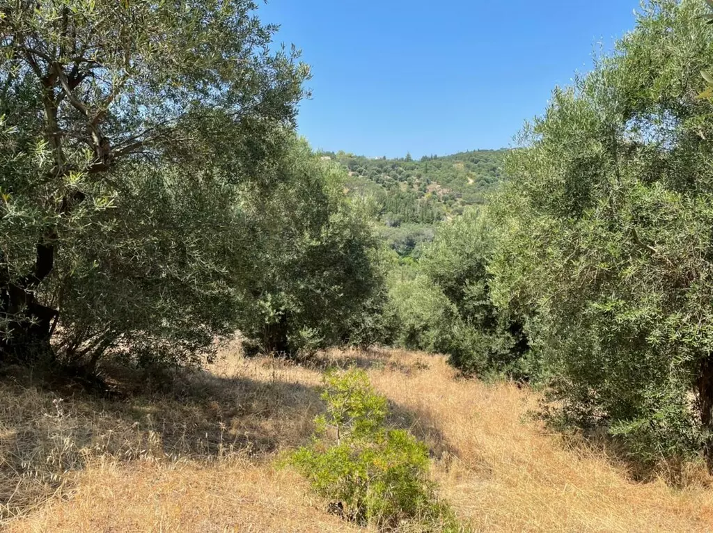 For Sale Land 5200 M² In Corfu