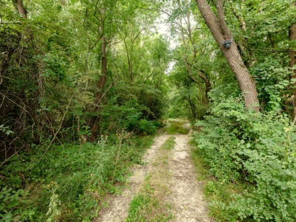 Plot Of 6000 M² With Building Permit For Three Single-family Houses In Kamchiya River, Varna Region