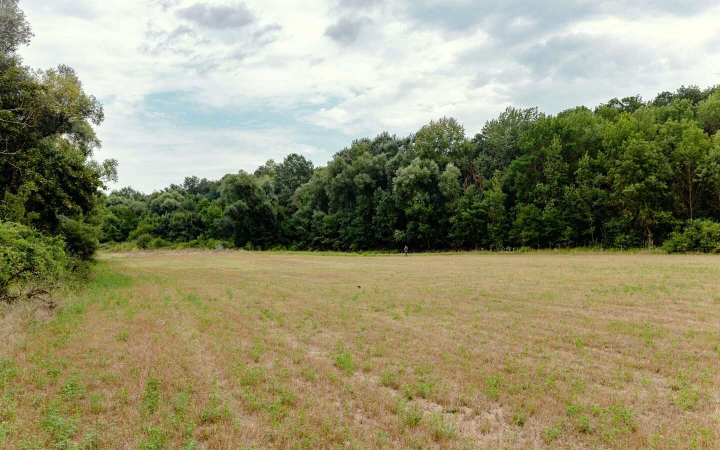 Plot Of 6000 M² With Building Permit For Three Single-family Houses In Kamchiya River, Varna Region
