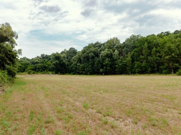 Plot Of 6000 M² With Building Permit For Three Single-family Houses In Kamchiya River, Varna Region
