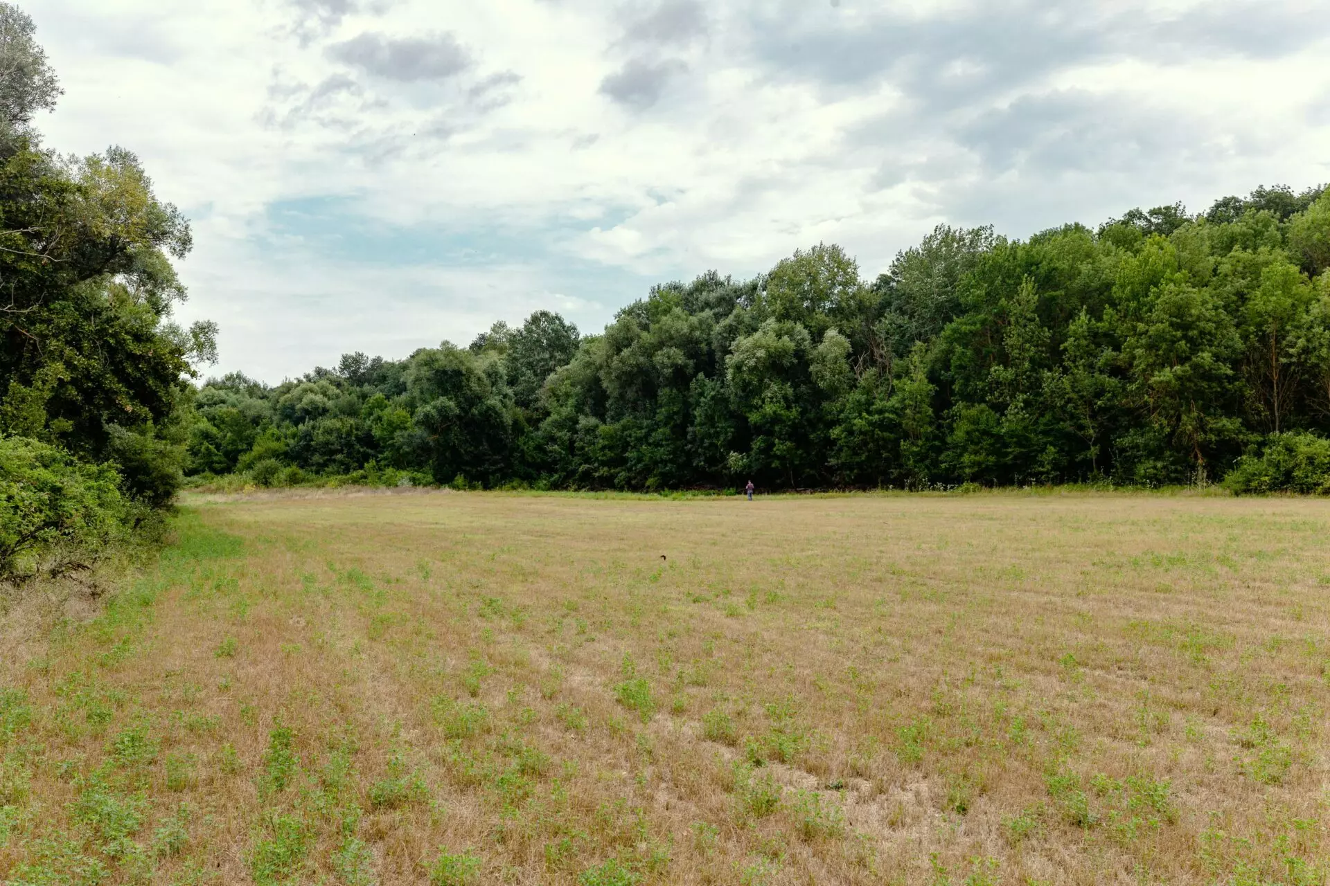 Plot Of 6000 M² With Building Permit For Three Single-family Houses In Kamchiya River, Varna Region