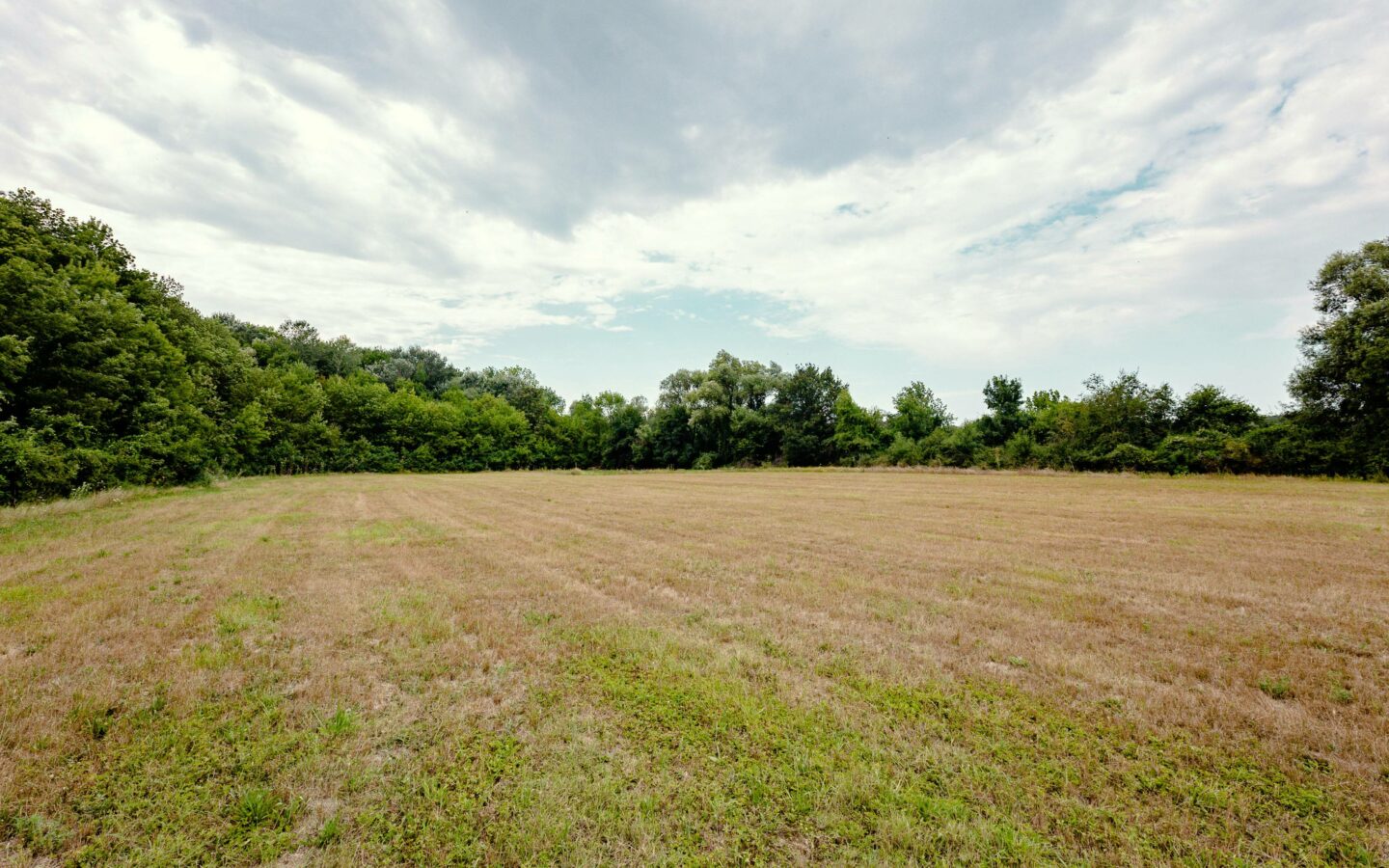 Plot Of 6000 M² With Building Permit For Three Single-family Houses In Kamchiya River, Varna Region