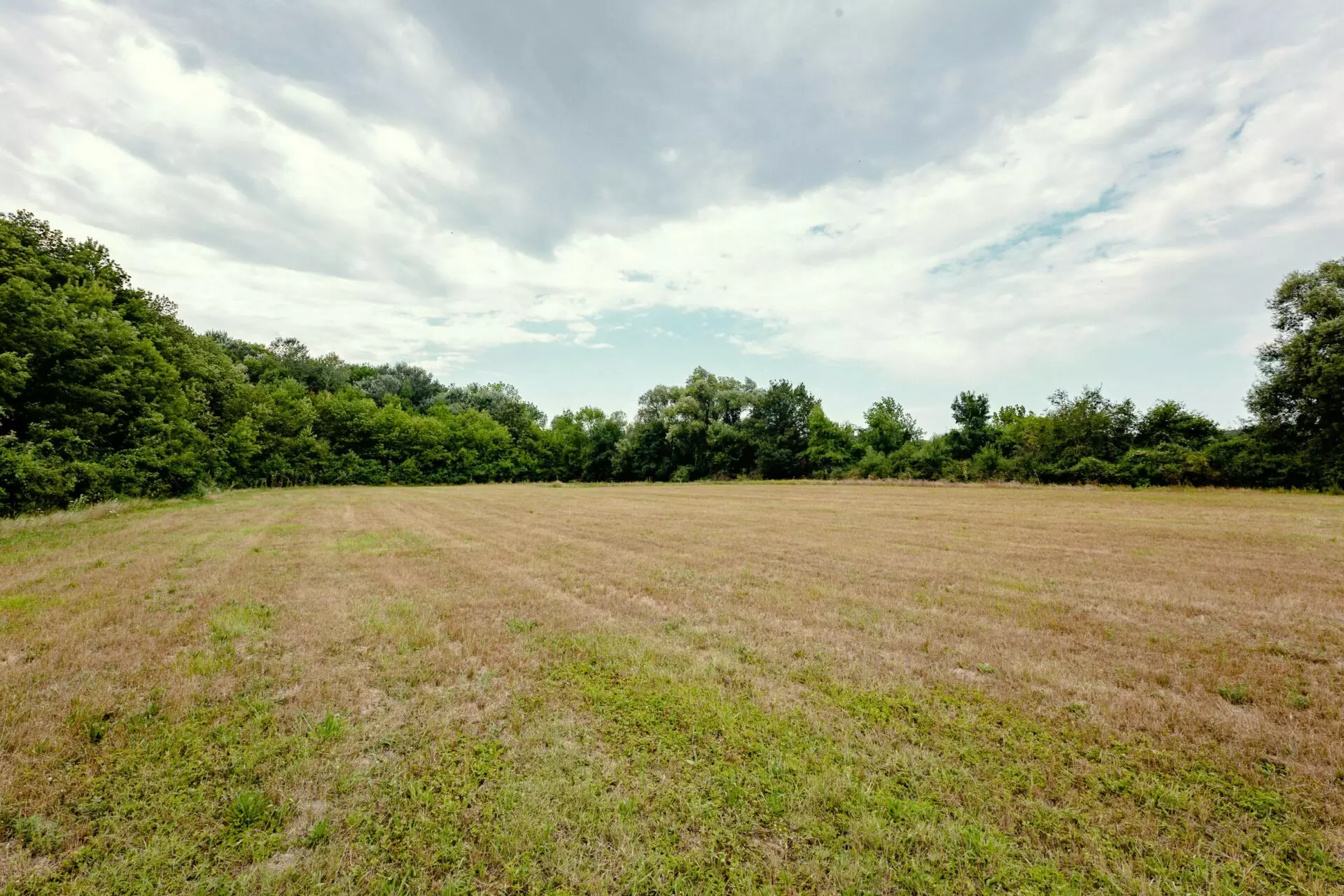 Plot Of 6000 M² With Building Permit For Three Single-family Houses In Kamchiya River, Varna Region