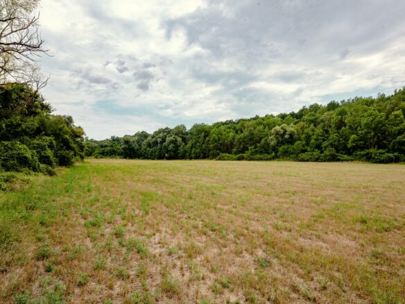 Plot Of 6000 M² With Building Permit For Three Single-family Houses In Kamchiya River, Varna Region