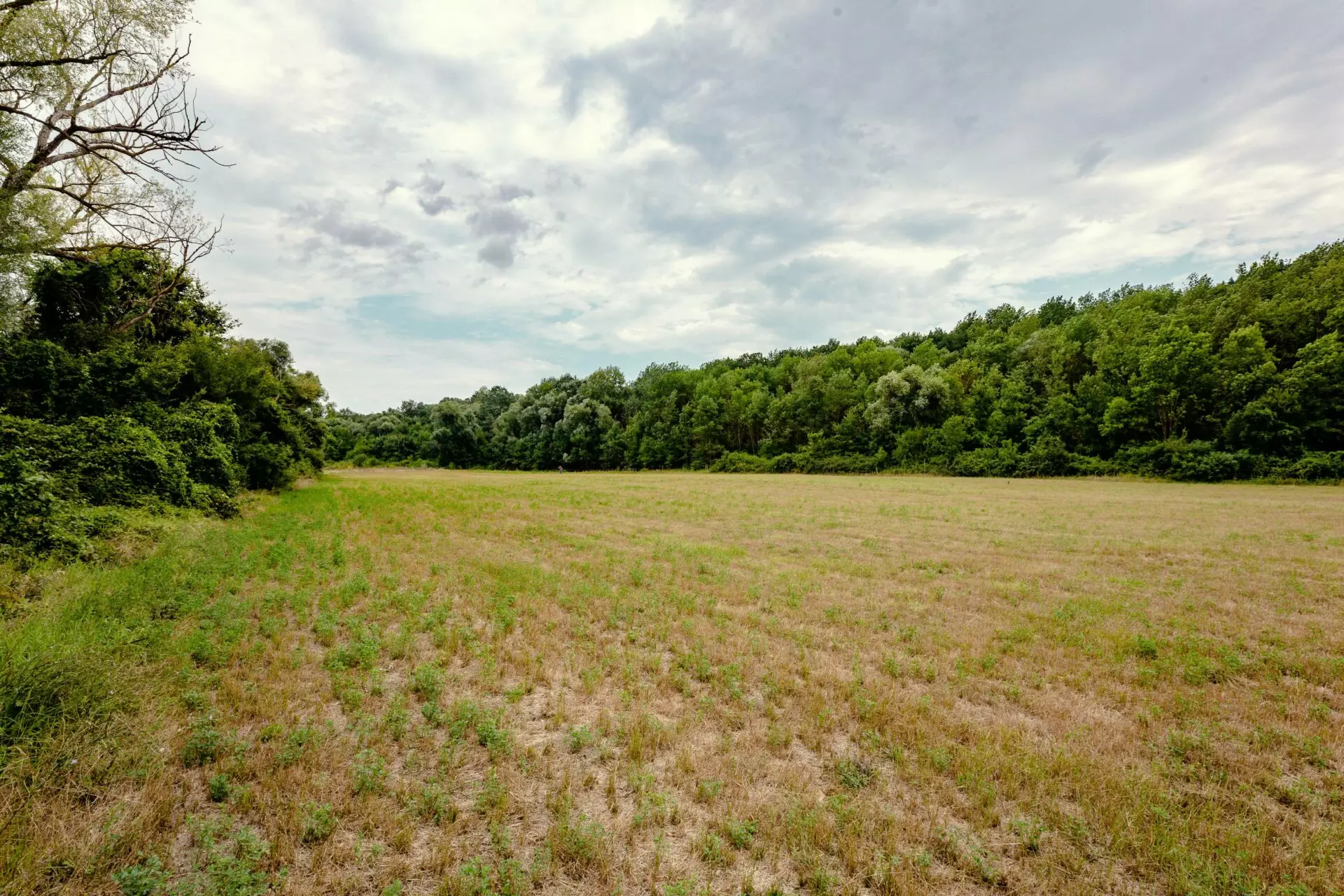 Plot Of 6000 M² With Building Permit For Three Single-family Houses In Kamchiya River, Varna Region