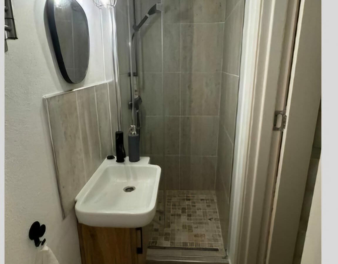 Turnkey Property Development: Central Hybrid Property/duplex (2 Independent Units) – Dealului Street, Sibiu