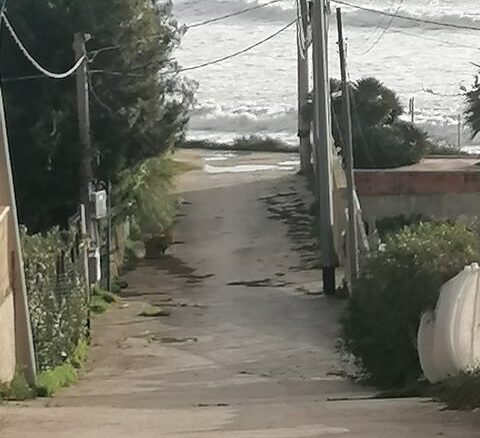 Apartment Of 90 M² With Sea View In San Giorgio