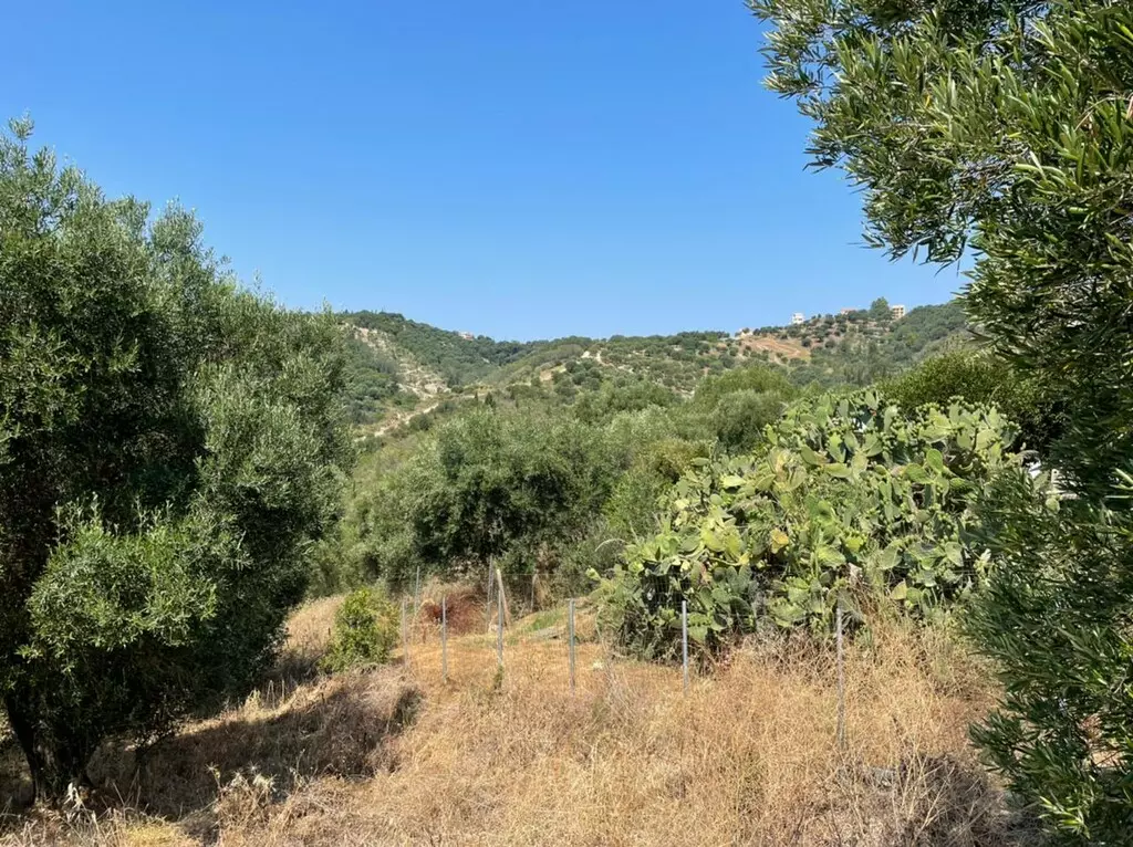 For Sale Land 5200 M² In Corfu