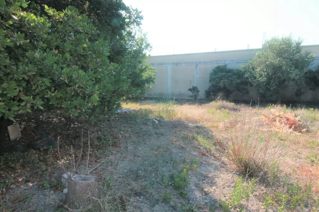 For Sale Land 1342 M² In Corfu