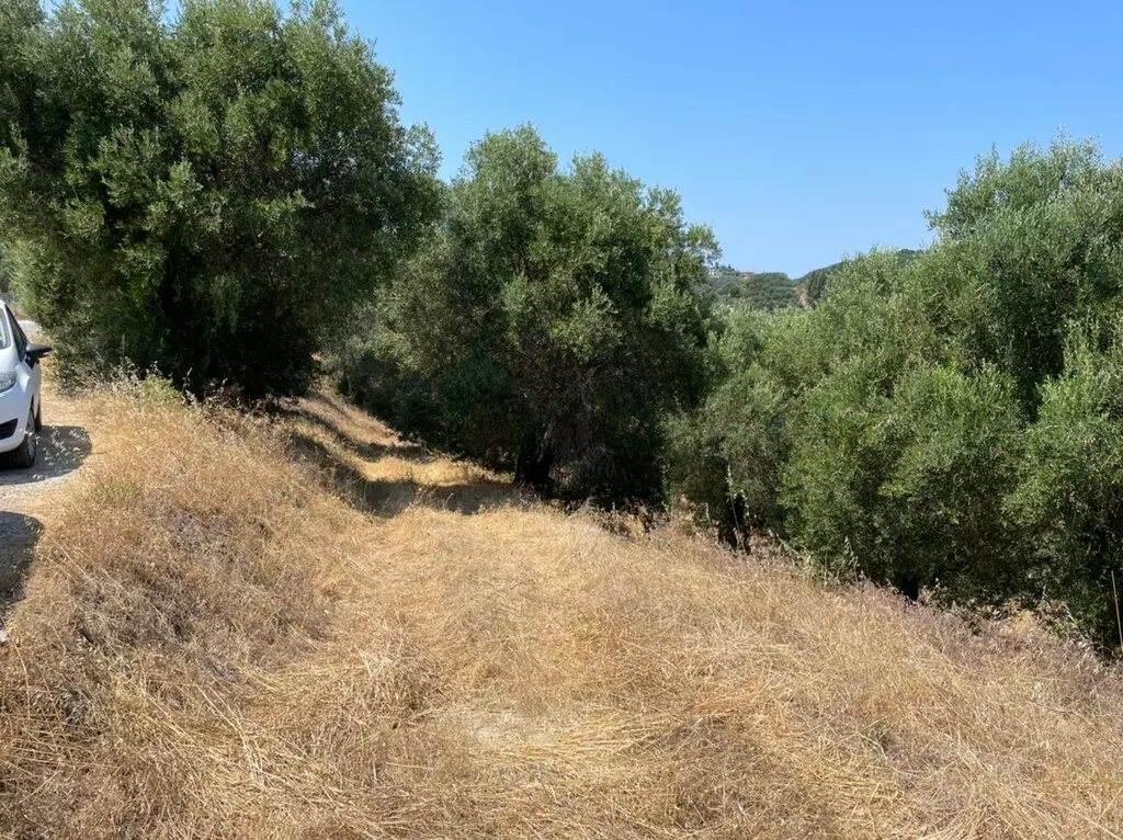 For Sale Land 5200 M² In Corfu