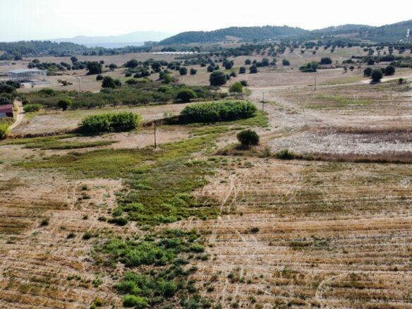 Land In Kassandra, Greece