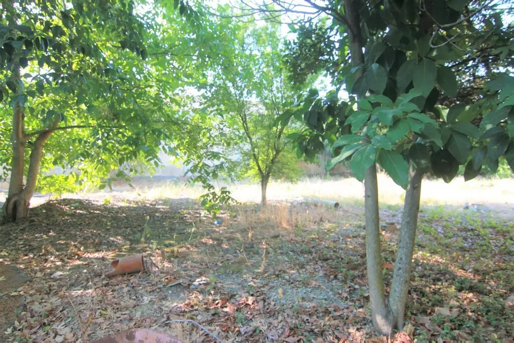 For Sale Land 1342 M² In Corfu