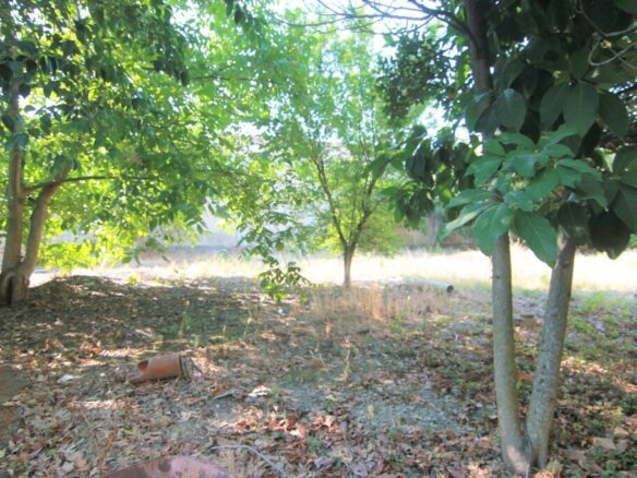 For Sale Land 1342 M² In Corfu