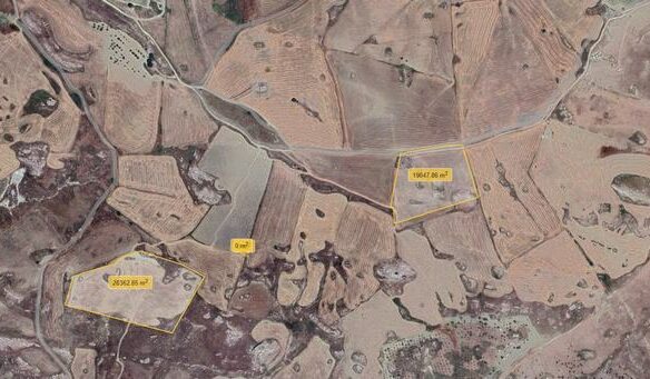 Land Of 35000 M² In Alfano, Sicily