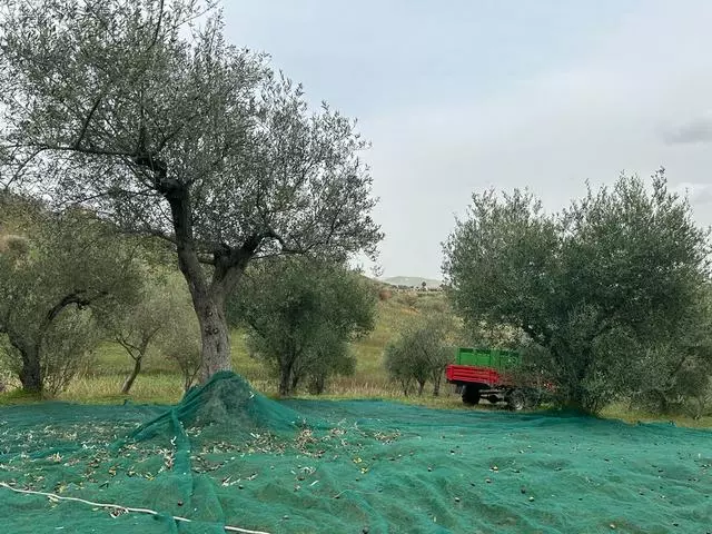 Villa Of 0 M² With Land In Sicily