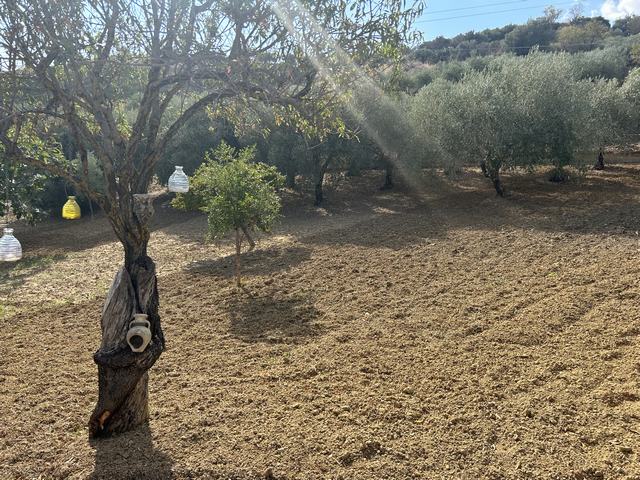 Villa Of 0 M² With Land In Sicily