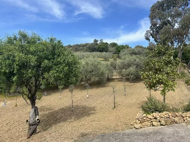 Villa Of 0 M² With Land In Sicily