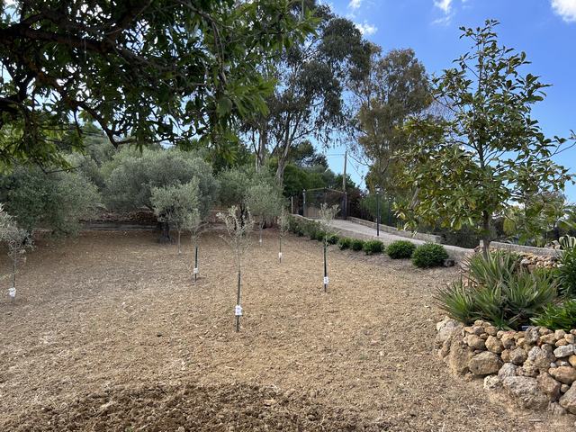 Villa Of 0 M² With Land In Sicily