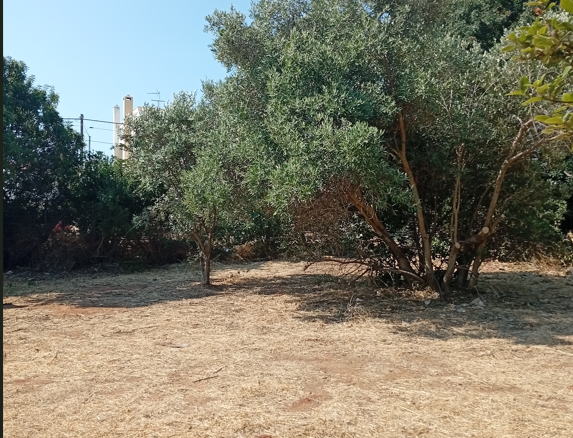 Plot Of 700 M² With Proximity To The Sea In Nea Makri