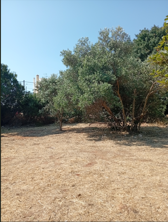 Plot Of 700 M² With Proximity To The Sea In Nea Makri