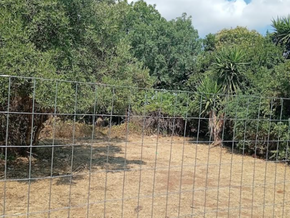 Plot Of 700 M² With Proximity To The Sea In Nea Makri