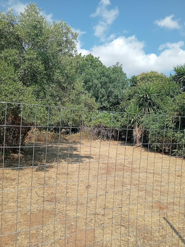 Plot Of 700 M² With 100m To Sea In Nea Makri