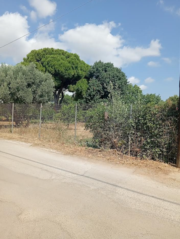 Plot Of 700 M² With 100m To Sea In Nea Makri