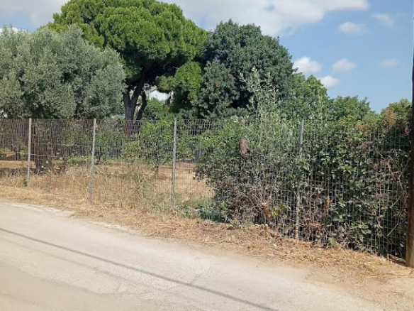 Plot Of 700 M² With Proximity To The Sea In Nea Makri