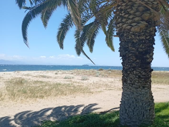 Plot Of 700 M² With Proximity To The Sea In Nea Makri