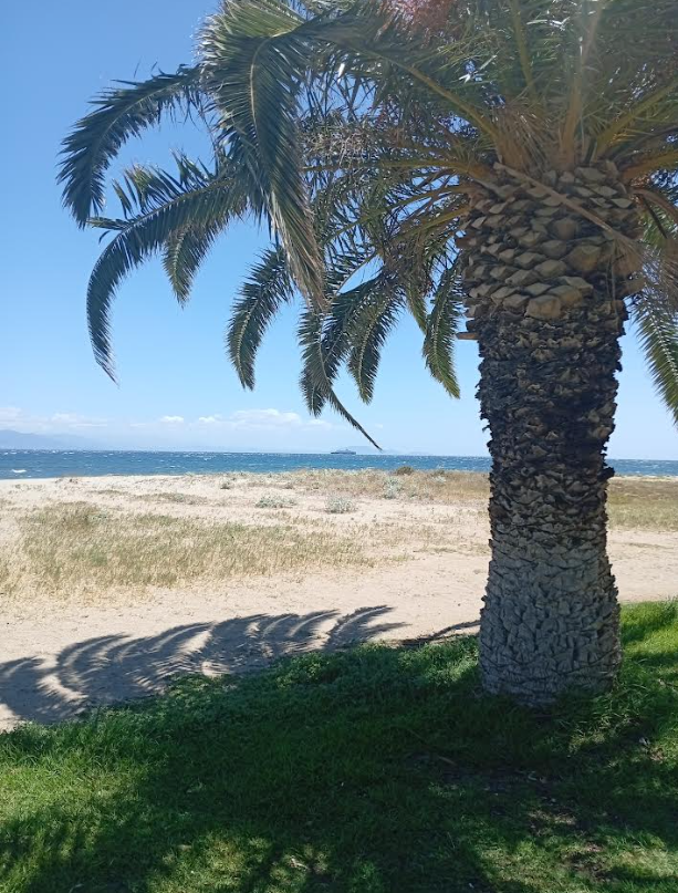 Plot Of 700 M² With 100m To Sea In Nea Makri