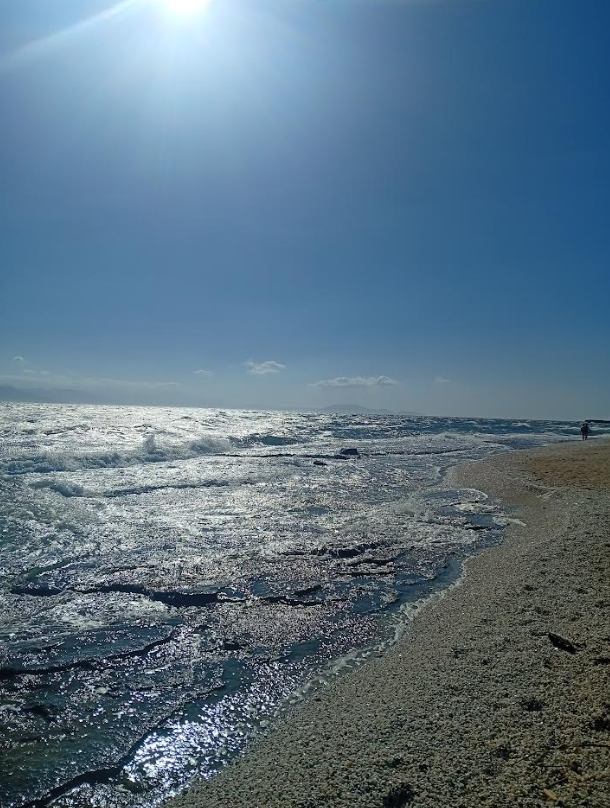 Plot Of 700 M² With 100m To Sea In Nea Makri