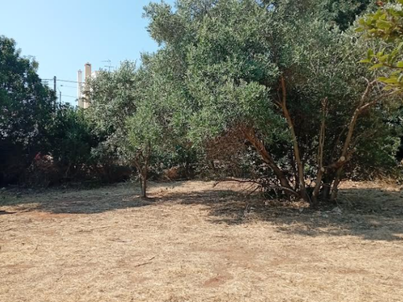 Plot Of 700 M² With Proximity To The Sea In Nea Makri