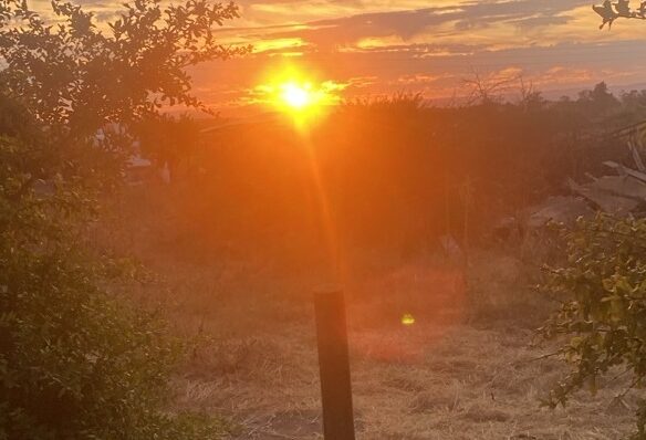 Flat Rustic Ed2 And Ap Land Of 11,750 M² With Spectacular Lisbon Views And Exclusive Access — Fonte Da Vaca, Pinhal Novo