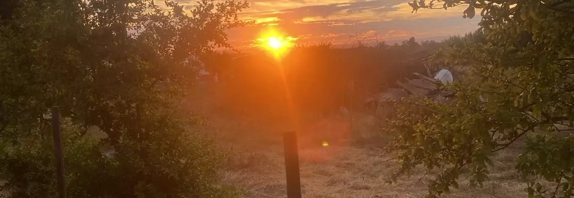 Flat Rustic Land Of 11,750 M² With Spectacular Lisbon Views And Exclusive Access — Fonte Da Vaca, Pinhal Novo