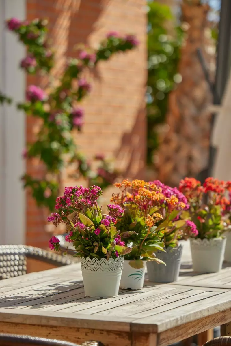 Apartment Of 55 M² In L’alfas Del Pi, Spain