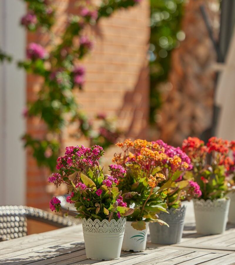 Apartment Of 138 M² In L’alfas Del Pi, Spain