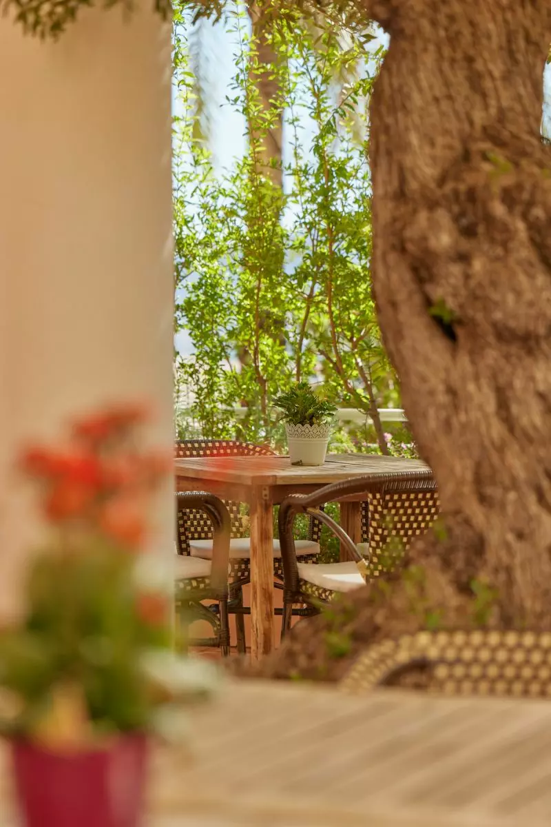 Apartment Of 55 M² In L’alfas Del Pi, Spain